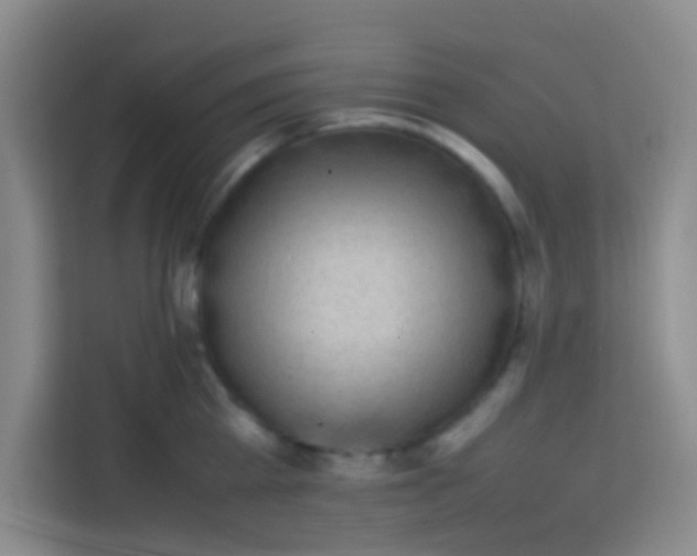 X0000113290809200910051059