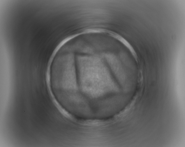 X0000113290811200910051059