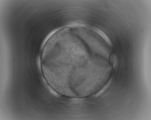 X0000113290812200910051059