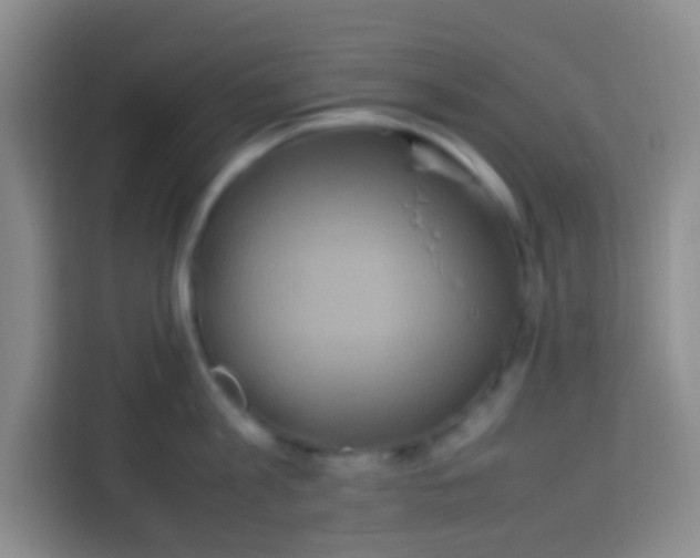 X0000113290813200910051059