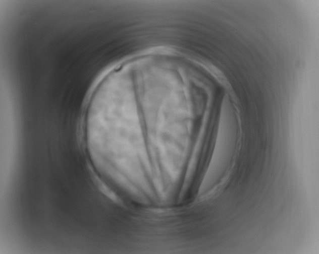 X0000113290816200910051059