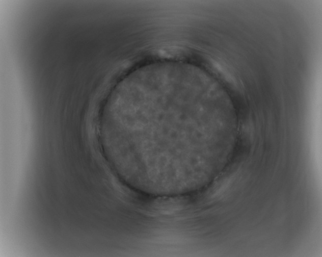 X0000113290817200910051058