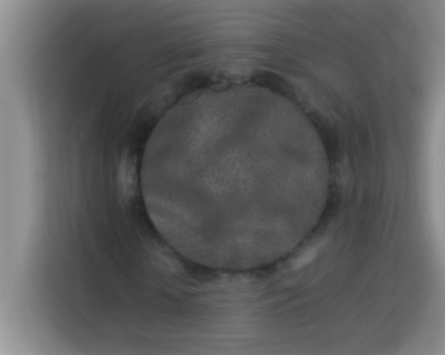 X0000113290818200910051058