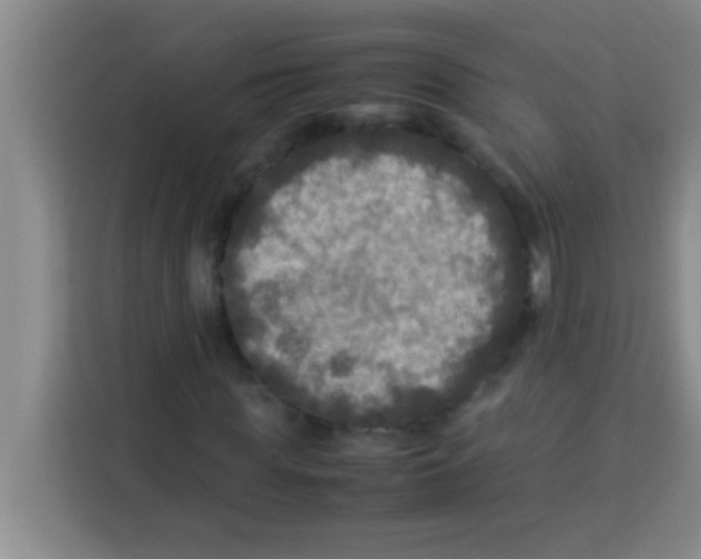 X0000113290819200910051058