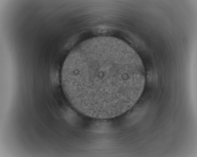 X0000113290820200910051059