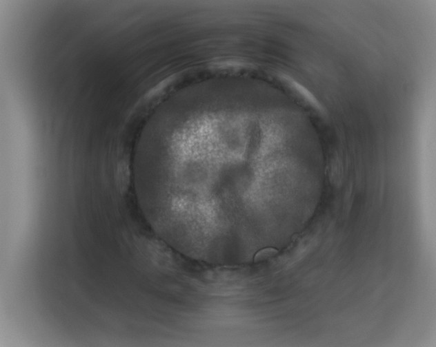 X0000113290821200910051059