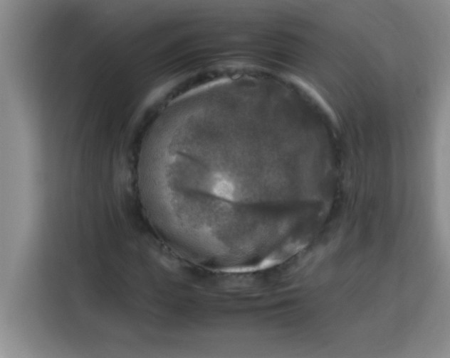 X0000113290823200910051059