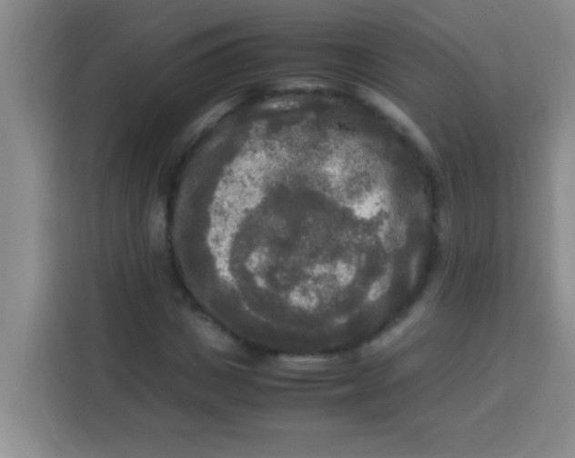 X0000113290825200910051059