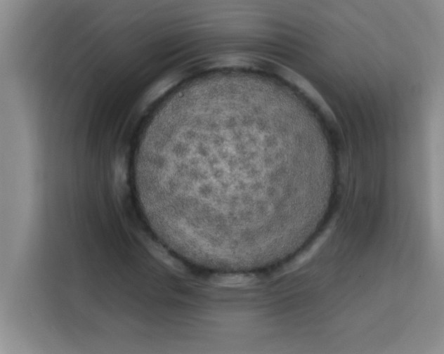 X0000113290826200910051059