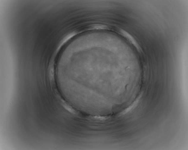 X0000113290827200910051059