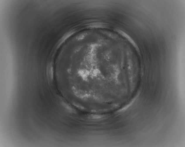 X0000113290829200910051059