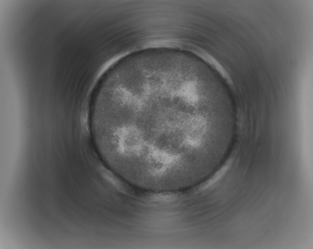 X0000113290830200910051059