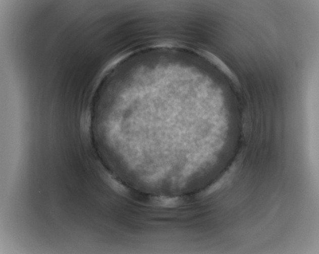 X0000113290831200910051059