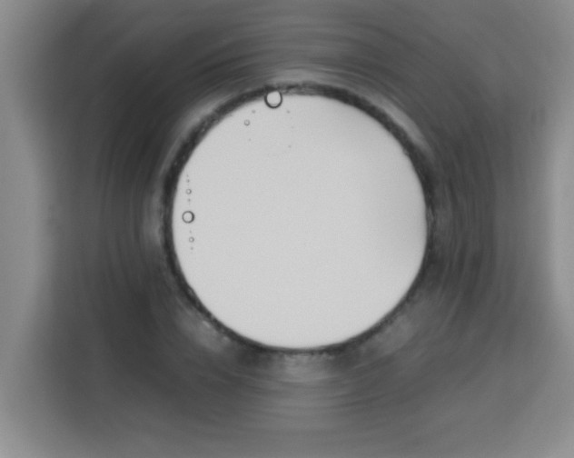 X0000113290832200910051059