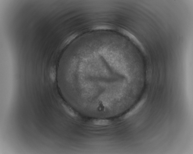 X0000113290833200910051059