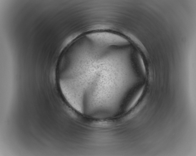 X0000113290834200910051059