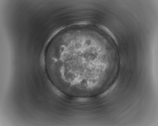 X0000113290835200910051059