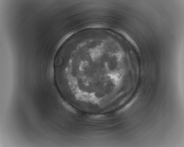 X0000113290837200910051059