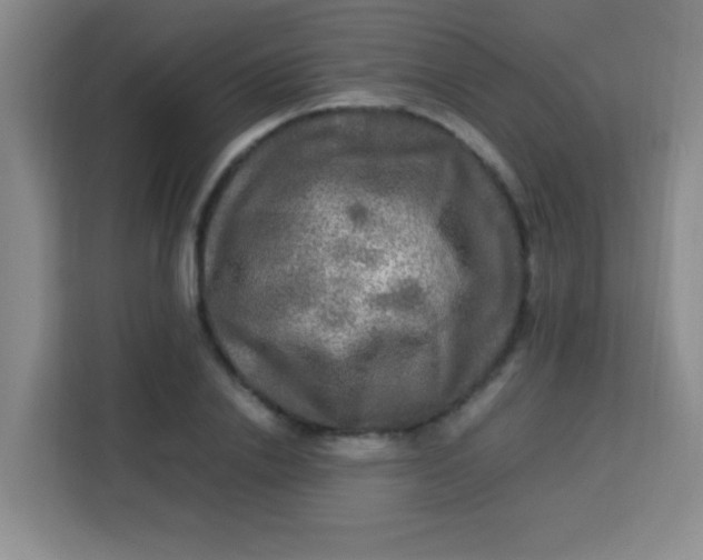 X0000113290838200910051059