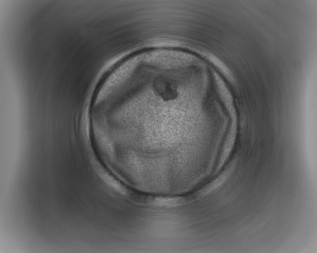 X0000113290840200910051059