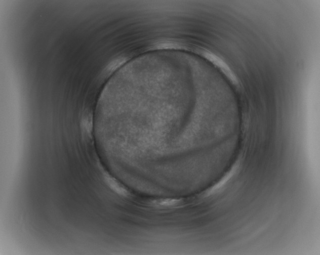 X0000113290841200910051059