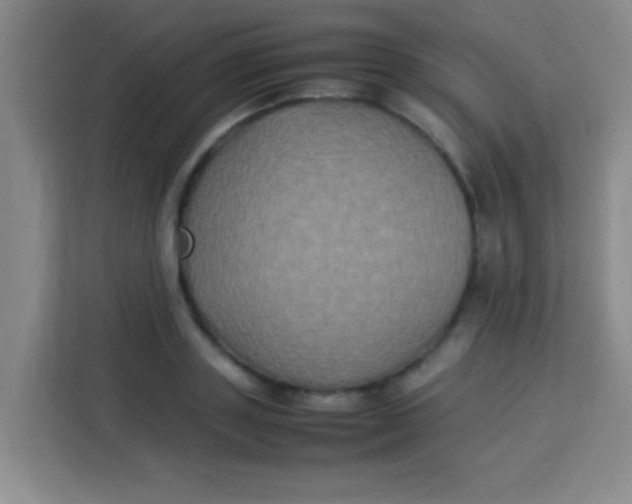 X0000113290843200910051059