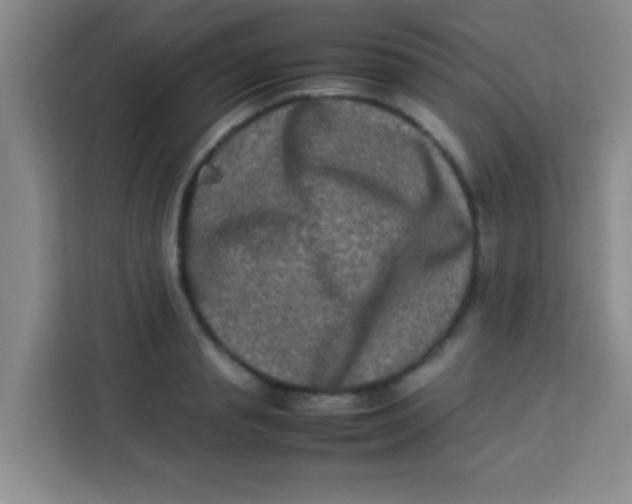 X0000113290845200910051059