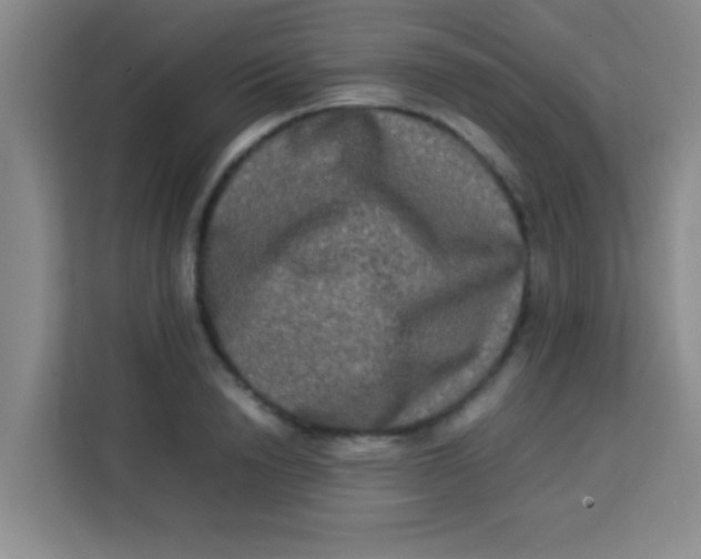 X0000113290846200910051059