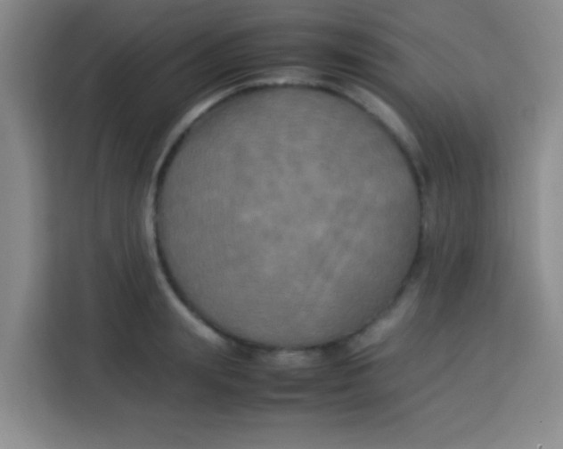 X0000113290847200910051059