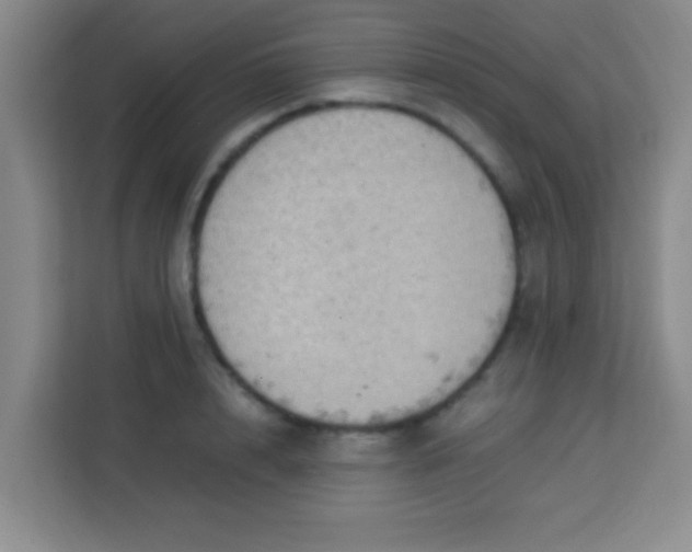 X0000113290848200910051059