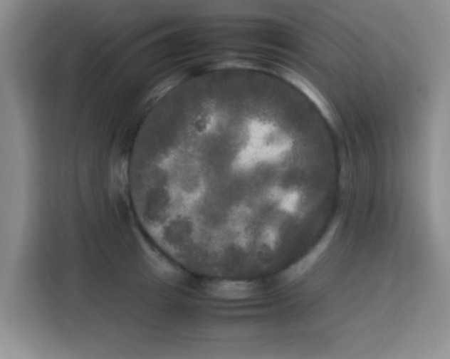 X0000113290849200910051059