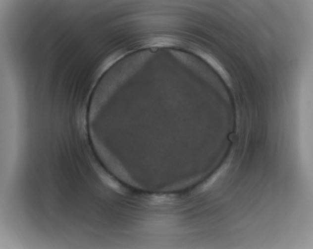 X0000113290850200910051059