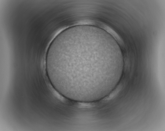 X0000113290852200910051059