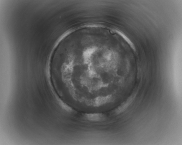 X0000113290853200910051059