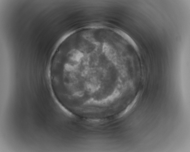 X0000113290855200910051059