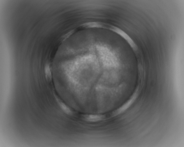 X0000113290857200910051059