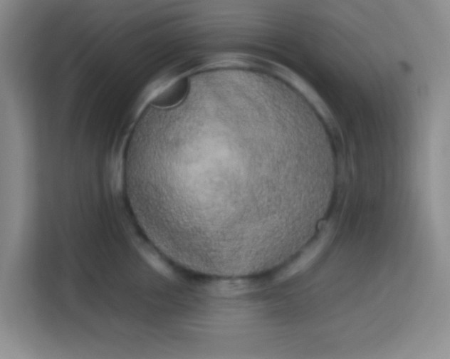 X0000113290858200910051059