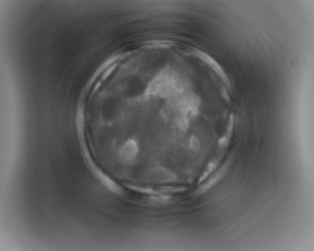 X0000113290859200910051059