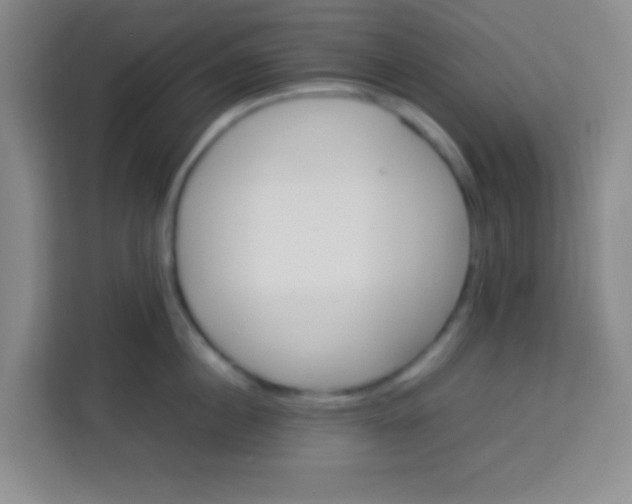 X0000113290860200910051059