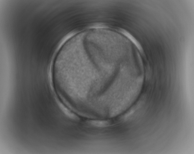 X0000113290861200910051059