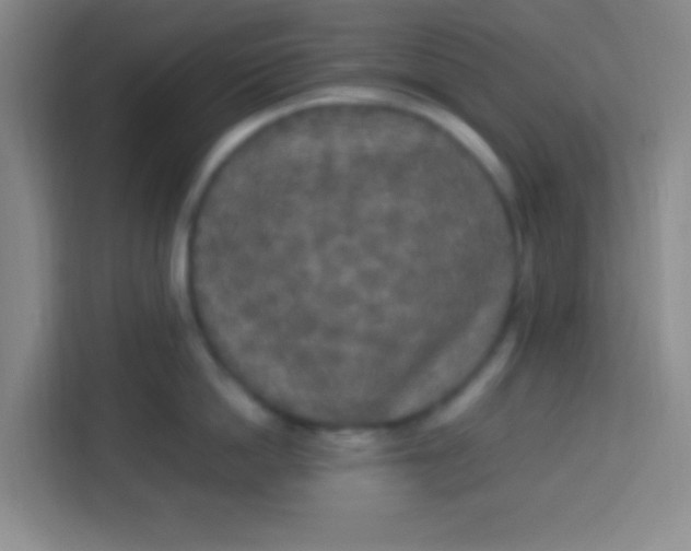 X0000113290862200910051059