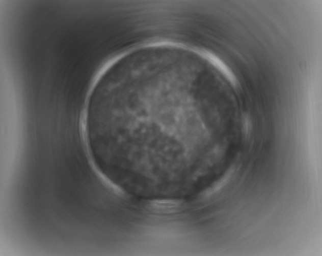 X0000113290863200910051059