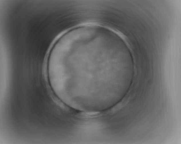 X0000113290864200910051059