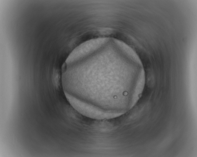 X0000113290866200910051058