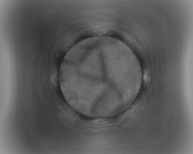 X0000113290867200910051058