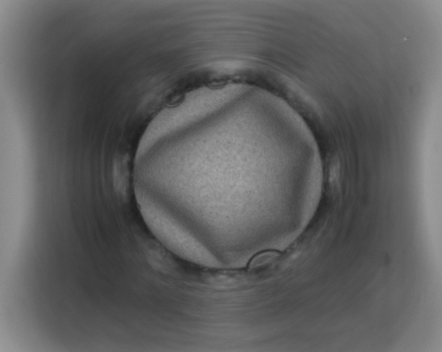 X0000113290868200910051058