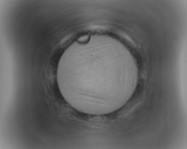 X0000113290869200910051058