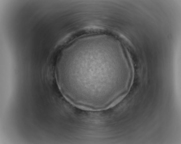 X0000113290870200910051058