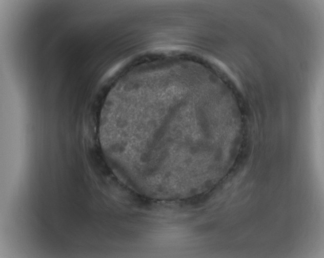 X0000113290871200910051058