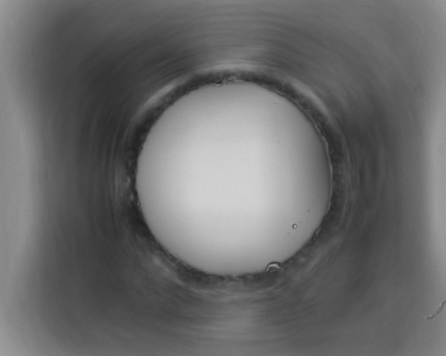 X0000113290872200910051058